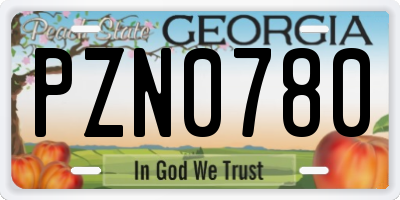 GA license plate PZN0780