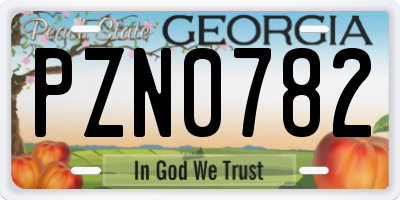 GA license plate PZN0782
