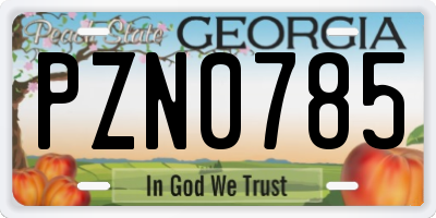 GA license plate PZN0785