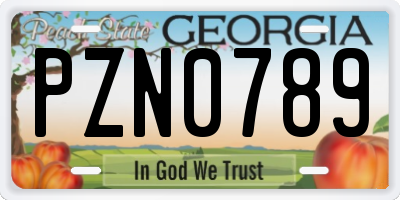 GA license plate PZN0789
