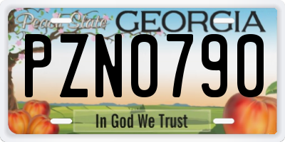 GA license plate PZN0790