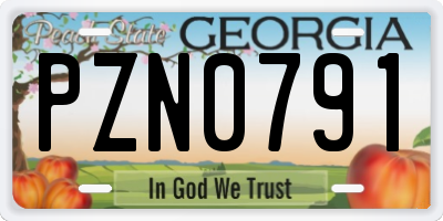 GA license plate PZN0791