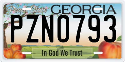 GA license plate PZN0793