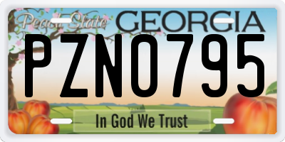 GA license plate PZN0795