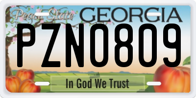 GA license plate PZN0809
