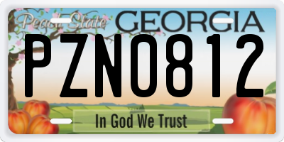 GA license plate PZN0812