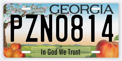 GA license plate PZN0814