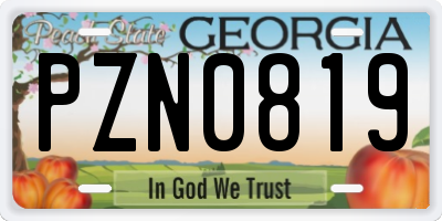 GA license plate PZN0819