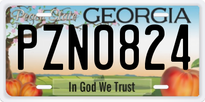 GA license plate PZN0824