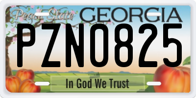 GA license plate PZN0825