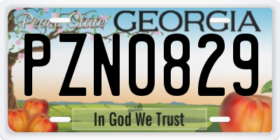 GA license plate PZN0829