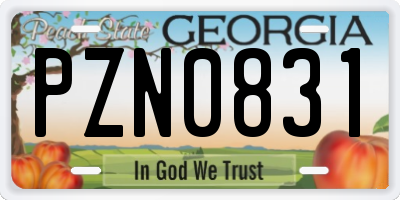 GA license plate PZN0831