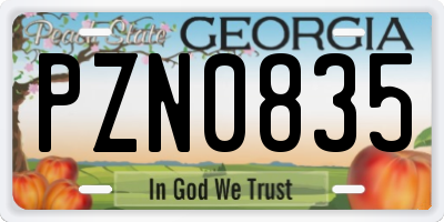 GA license plate PZN0835