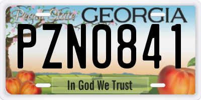 GA license plate PZN0841