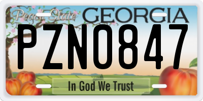GA license plate PZN0847