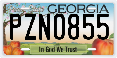 GA license plate PZN0855