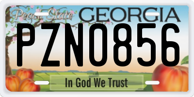 GA license plate PZN0856