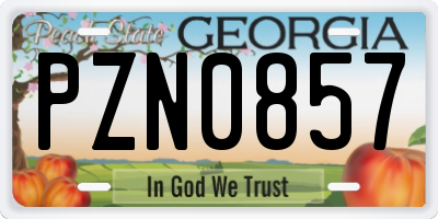 GA license plate PZN0857