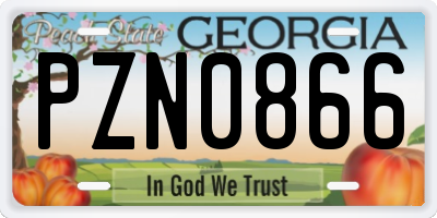 GA license plate PZN0866