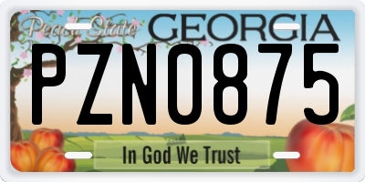 GA license plate PZN0875