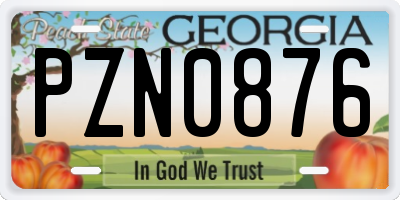 GA license plate PZN0876