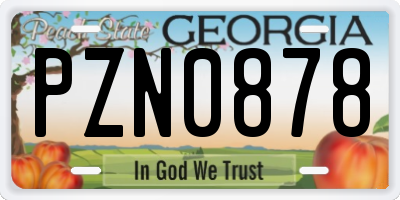 GA license plate PZN0878
