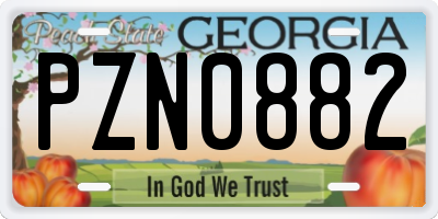 GA license plate PZN0882