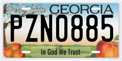 GA license plate PZN0885