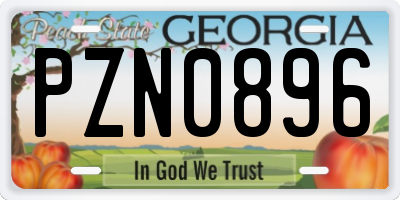 GA license plate PZN0896
