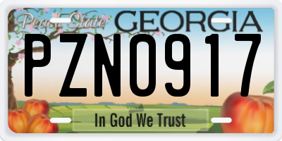 GA license plate PZN0917