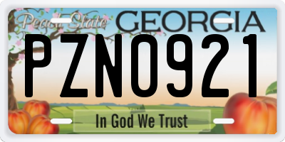 GA license plate PZN0921