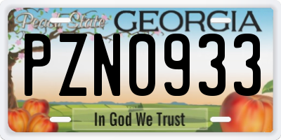 GA license plate PZN0933