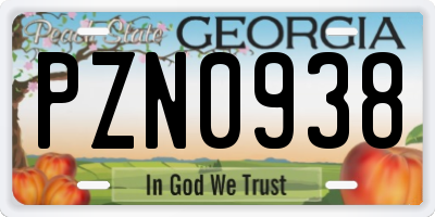 GA license plate PZN0938