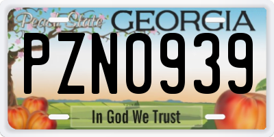 GA license plate PZN0939