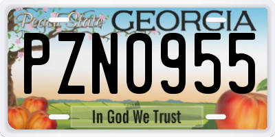 GA license plate PZN0955