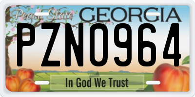 GA license plate PZN0964