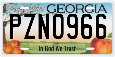 GA license plate PZN0966