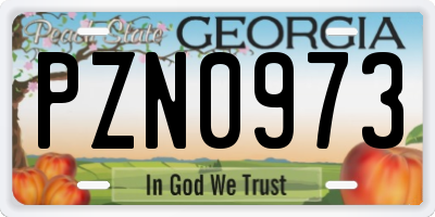 GA license plate PZN0973
