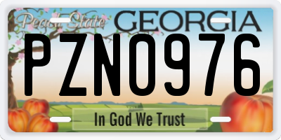 GA license plate PZN0976