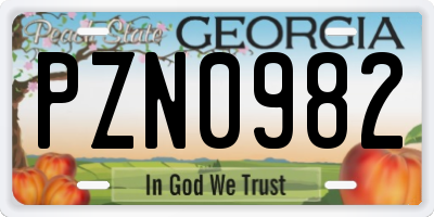 GA license plate PZN0982