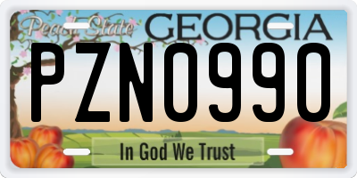 GA license plate PZN0990