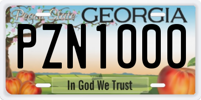GA license plate PZN1000