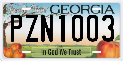 GA license plate PZN1003