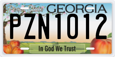 GA license plate PZN1012