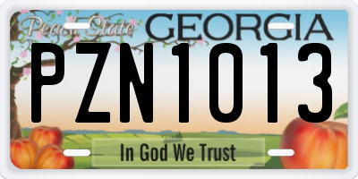 GA license plate PZN1013