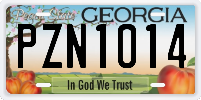 GA license plate PZN1014