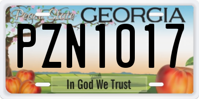 GA license plate PZN1017