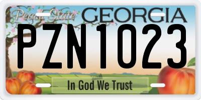 GA license plate PZN1023