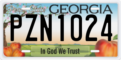 GA license plate PZN1024
