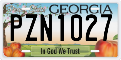 GA license plate PZN1027